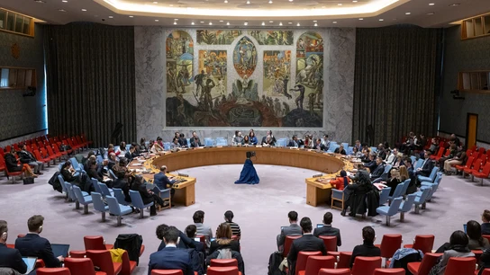 El Consejo de Seguridad de la ONU El Consejo de Seguridad de la ONU vota la entrada de Palestina como estado de pleno derecho