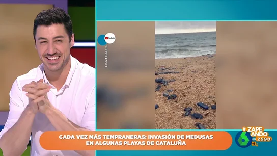 Francisco Cacho desvela por qué las medusas ya han invadido algunas playas de Cataluña Francisco Cacho desvela por qué las medusas ya han invadido algunas playas de Cataluña