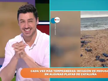 Francisco Cacho desvela por qué las medusas ya han invadido algunas playas de Cataluña