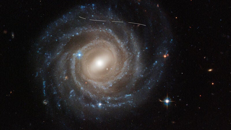Astrónomos aficionados logran hallar más de 1.000 asteroides no registrados