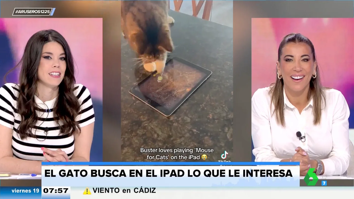 El 'michi gamer': coge una tablet y se pone a jugar a cazar gatos El 'michi gamer': coge una tablet y se pone a jugar a cazar gatos