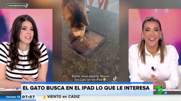 El 'michi gamer': coge una tablet y se pone a jugar a cazar gatos