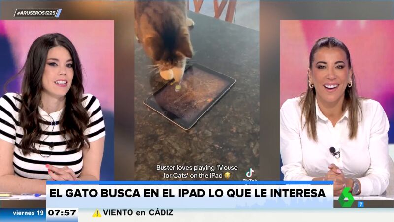 El 'michi gamer': coge una tablet y se pone a jugar a cazar gatos