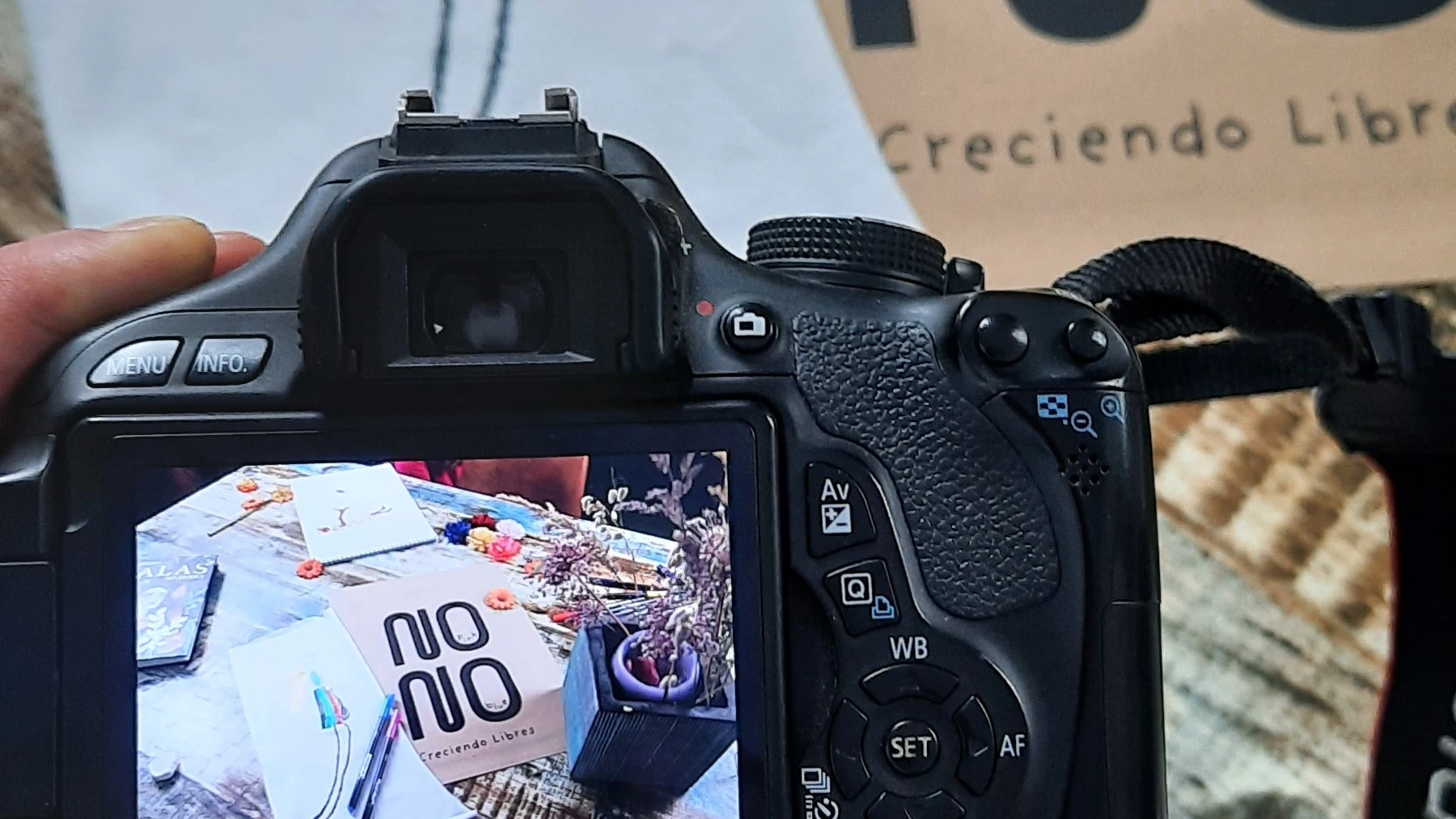 El logo de la marca 'NOpink NOblue'