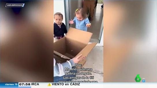 Viral gallina Viral gallina