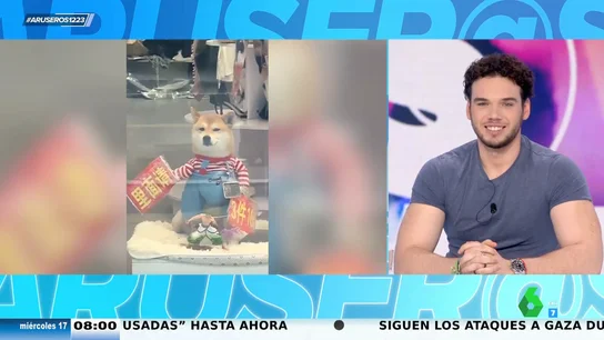Viral perro que anuncia las ofertas Viral perro que anuncia las ofertas