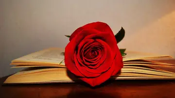 Sant Jordi: un libro y una rosa