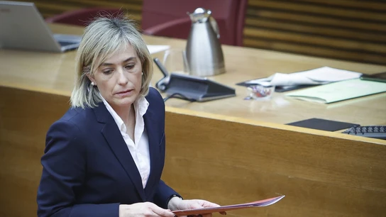 La consellera Elisa Núñez en el pleno de Les Corts. La consellera Elisa Núñez en el pleno de Les Corts.