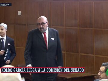 Koldo García llega a la comisión del Senado