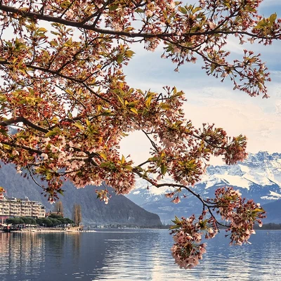 Panorámica de Montreux con los Alpes al fondo. Suiza