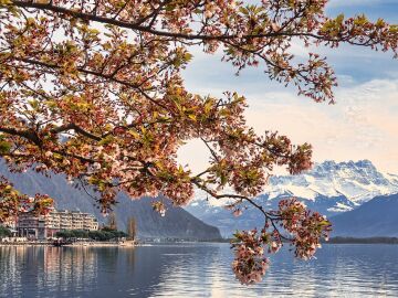 Panorámica de Montreux con los Alpes al fondo. Suiza