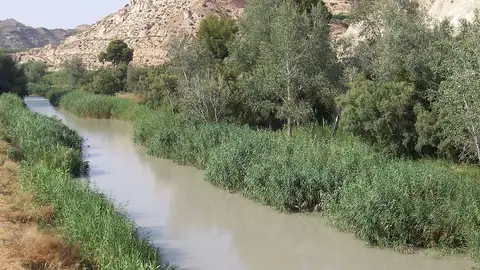 Río Segura a su paso por Archena (Región de Murcia) Río Segura a su paso por Archena (Región de Murcia)