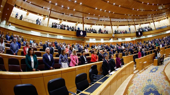 Vista de la sesión celebrada en el Senado el 23 de abril de 2024 Vista de la sesión celebrada en el Senado el 23 de abril de 2024