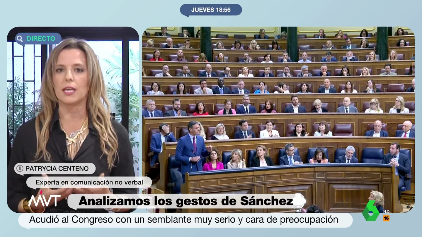 pp odio pp odio