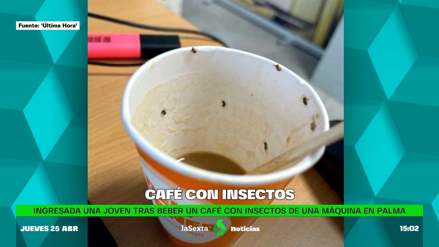 café con insectos café con insectos