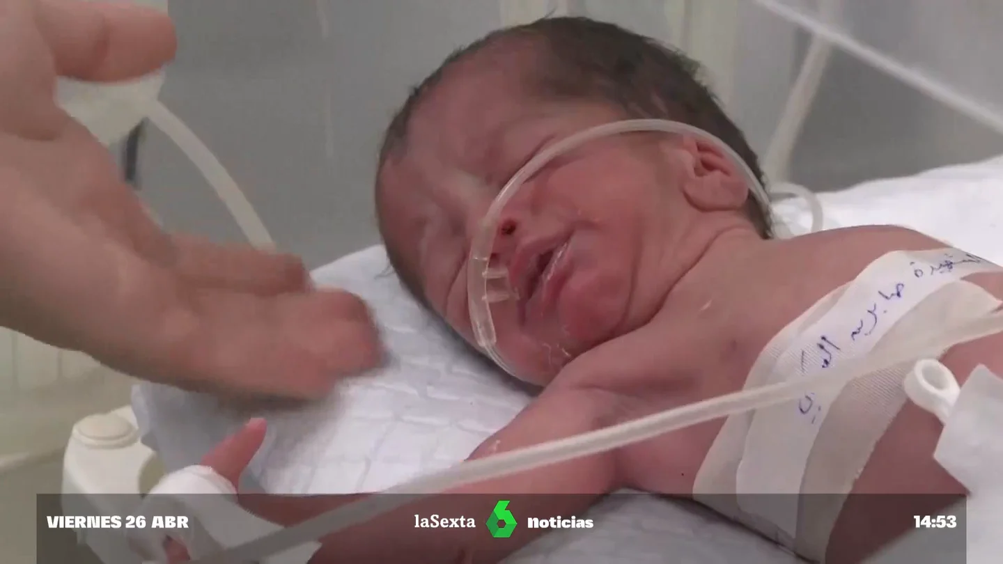 bebe gaza bebe gaza
