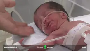 bebe gaza