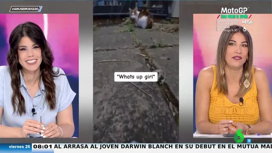 Viral gato cámara Viral gato cámara