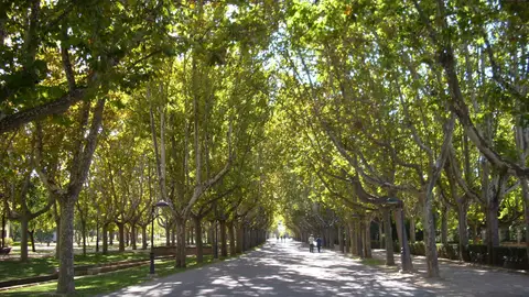Parque José Antonio Labordeta, Zaragoza Parque de la Alameda, Santiago de Compostela