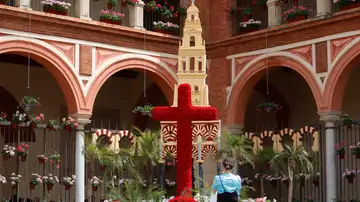 Cruz de Mayo del Compas de San Francisco de Córdoba 