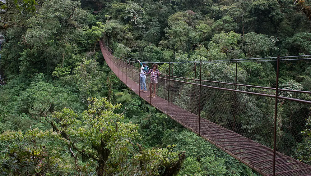Puente colgante en el Valle de Boquete, Panamá