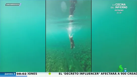 El viral del perro buceador que se sumerge hasta cuatro metros y medio en el agua: "¡Qué barbaridad!" El viral del perro buceador que se sumerge hasta cuatro metros y medio en el agua: "¡Qué barbaridad!"