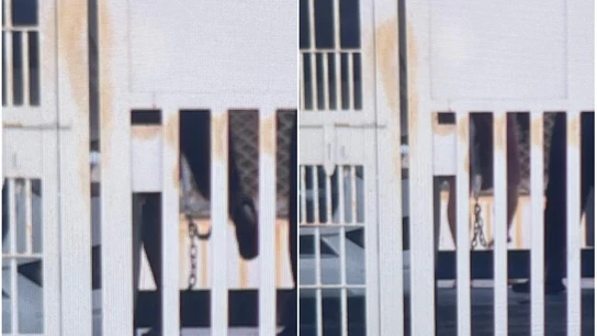 La imagen de Daniel Sancho, con grilletes en manos y tobillos en el último día del juicio en Tailandia La imagen de Daniel Sancho, con grilletes en manos y tobillos en el último día del juicio en Tailandia