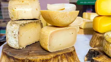 Exposición de distintos quesos