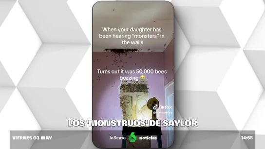 Abejas en el interior de una casa Abejas en el interior de una casa