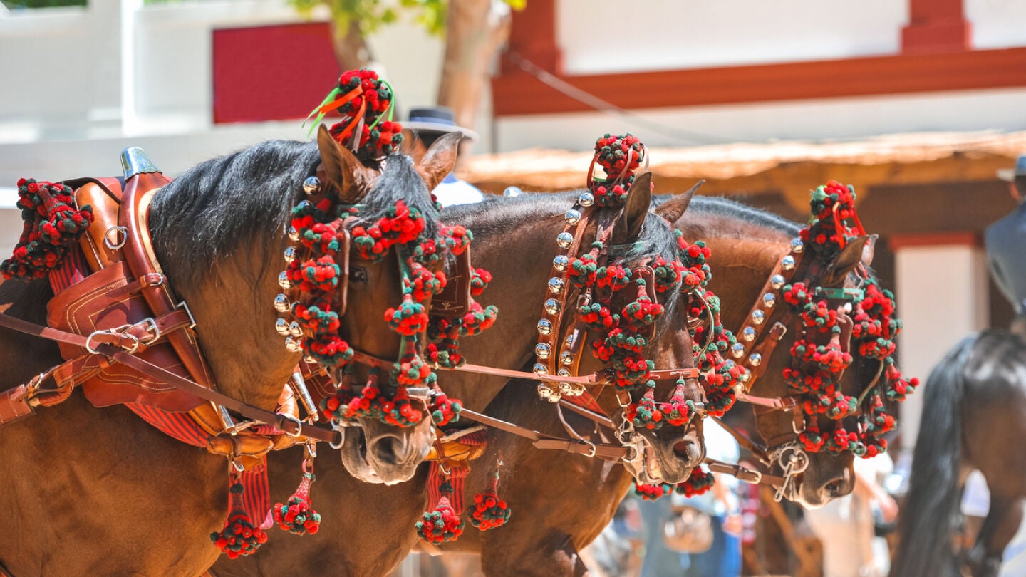Feria del Caballo de Jerez 2024