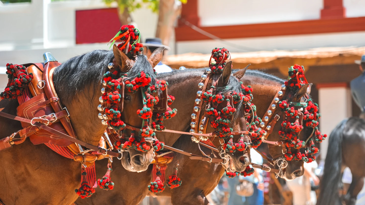 Feria del Caballo de Jerez 2024 Feria del Caballo de Jerez 2024