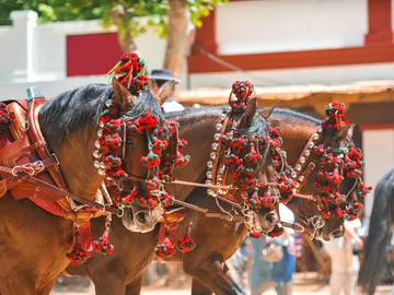 Feria del Caballo de Jerez 2024 Feria del Caballo de Jerez 2024