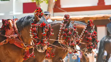 Feria del Caballo de Jerez 2024