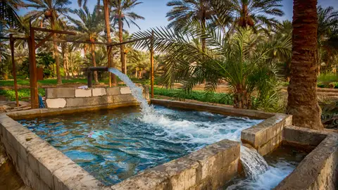 Oasis de Al-Ahsa. Arabia Saudí Oasis de Al-Ahsa. Arabia Saudí