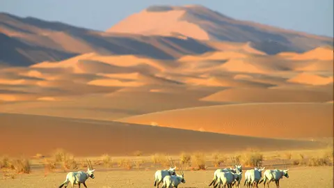 Uruq bani Ma'arid. Arabia Saudí Uruq bani Ma'arid. Arabia Saudí