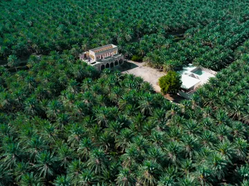 Oasis de Al-Ahsa Oasis de Al-Ahsa