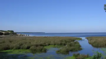 Paisaje de Doñana Paisaje de Doñana
