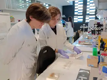 investigadores en el laboratorio investigadores en el laboratorio