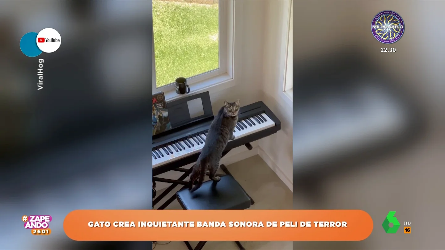 Un chico se lleva un susto de muerte después de que su gato 'componga' la banda sonora de una peli de terror Un chico se lleva un susto de muerte después de que su gato 'componga' la banda sonora de una peli de terror