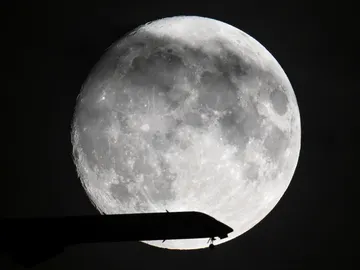 Luna Luna