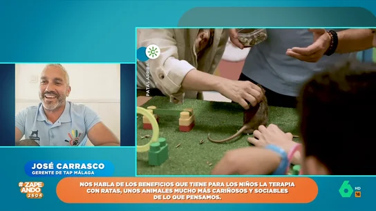 José Carrasco expone los beneficios que tiene para los niños la terapia con ratas: "Se pueden trabajar millones de cosas" José Carrasco expone los beneficios que tiene para los niños la terapia con ratas: "Se pueden trabajar millones de cosas"