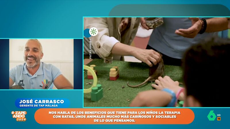 José Carrasco expone los beneficios que tiene para los niños la terapia con ratas: "Se pueden trabajar millones de cosas"