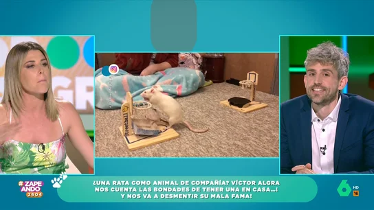 El veterinario Víctor Algra aclara que las ratas están incluidas en la ley de Bienestar Animal El veterinario Víctor Algra aclara que las ratas están incluidas en la ley de Bienestar Animal