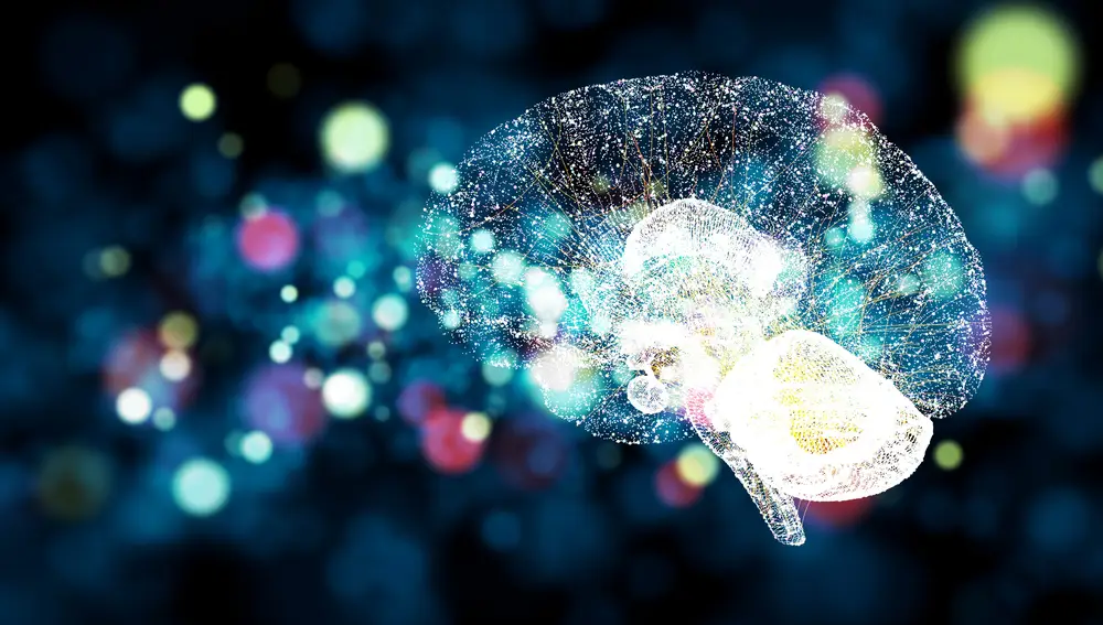 Cerebro Cerebro