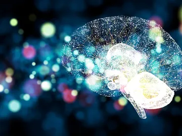 Cerebro Cerebro