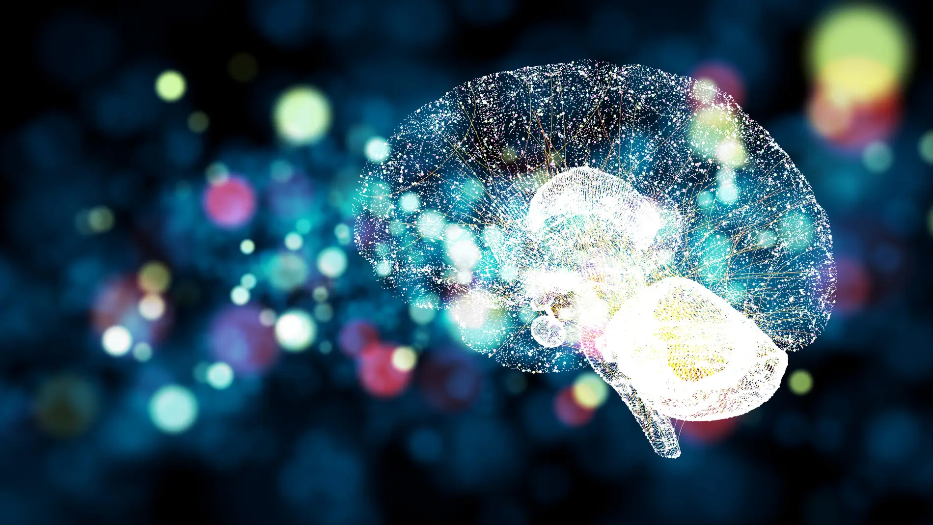 Cerebro Cerebro