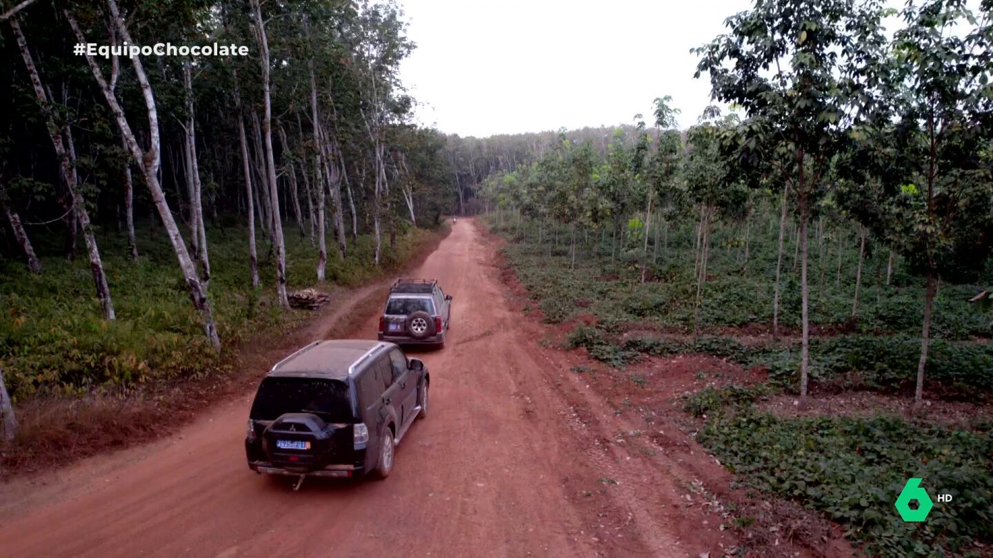 Militares y bosques