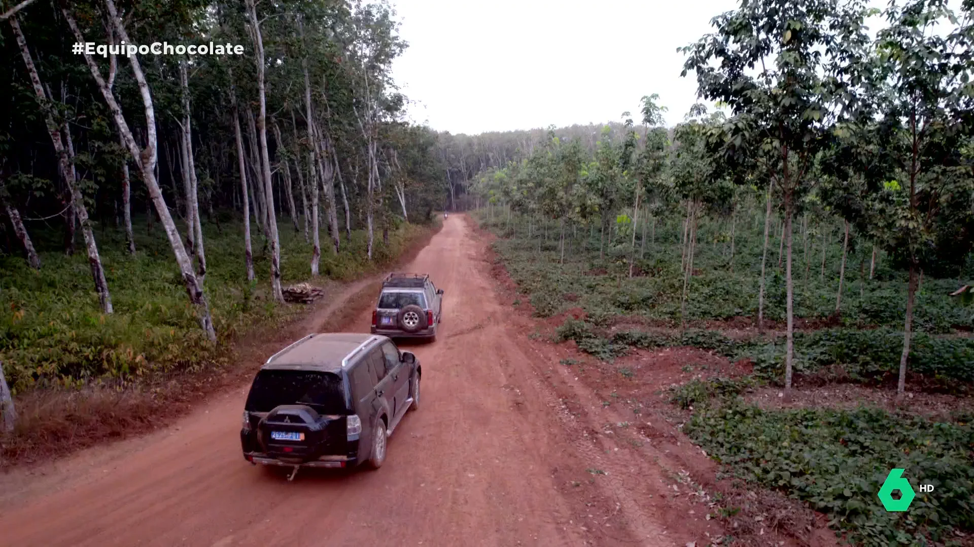 Militares y bosques