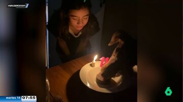 Esta niña no volverá a cerrar los ojos antes de soplar las velas: su perro aprovecha y se come la tarta
