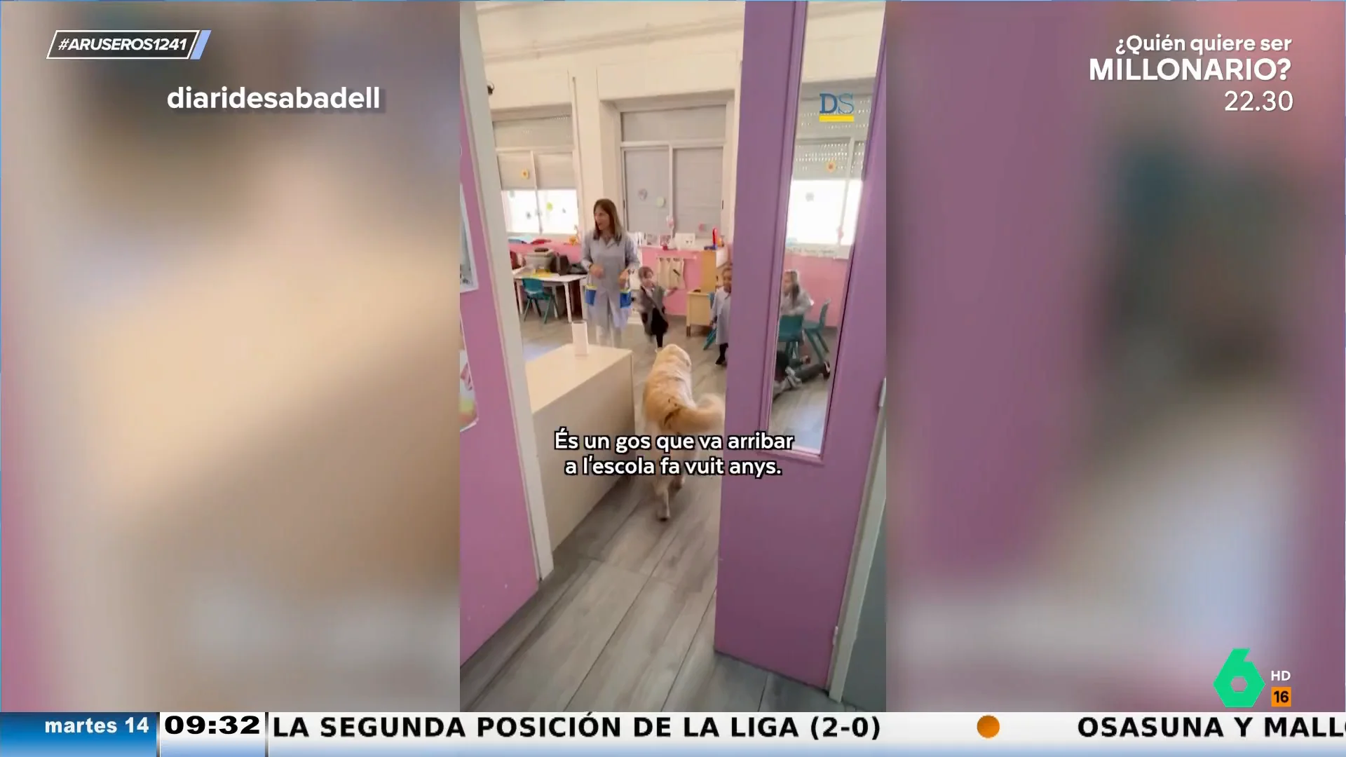 El viral de un Golden Retriever que saluda todos los días a los niños de un colegio en Sabadell: "Es uno más"